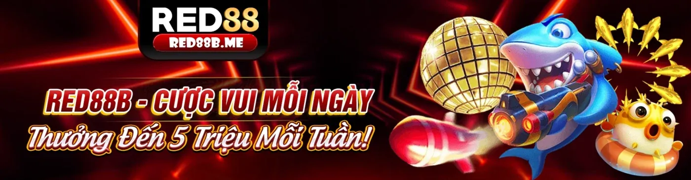 Hình ảnh giới thiệu 18 win bet - nền tảng cá cược trực tuyến hàng đầu