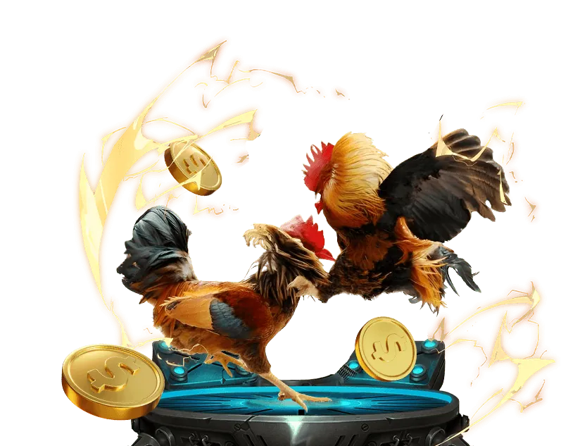 Hỗ trợ Trực Tuyến 24/7